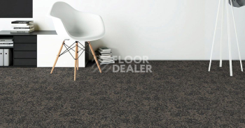 Standard Carpets Sky Gardens 549 фото 2 | FLOORDEALER